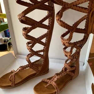 El Vaquero Gladiators